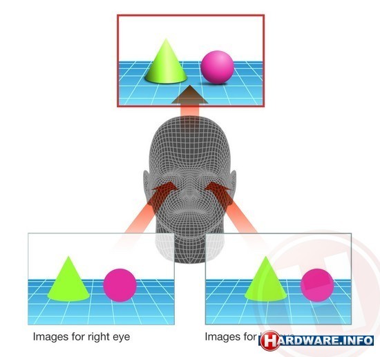 3d principples