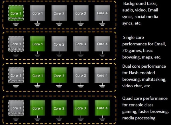 werking companion core