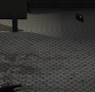aaaf-prey-1-nvidia-4af