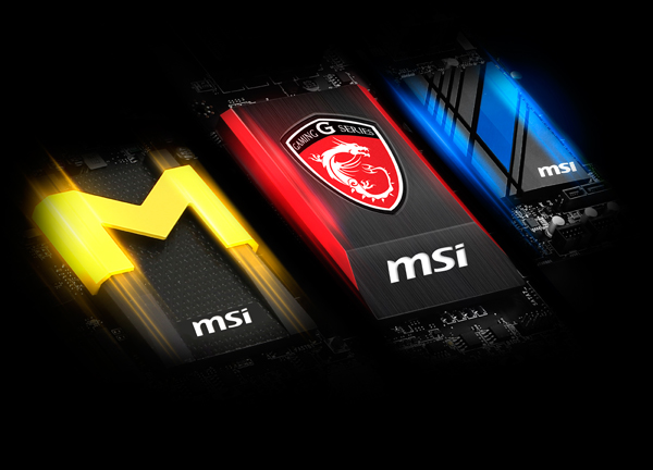 MSI