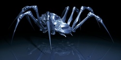 amdspider_550_250 amdspider_550_250