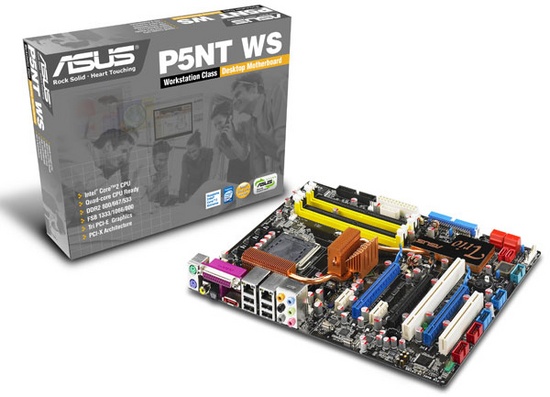 asus_p5ntws_550