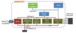 barefoot_diagram_250