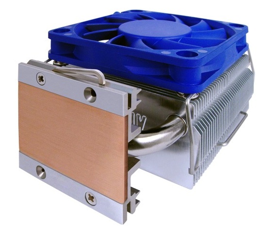 coolink_chipchilla_2_550