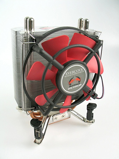 evercool_buffalo_i701_550