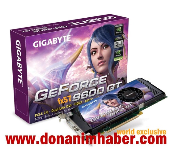 gigabyte_9600_gt_550