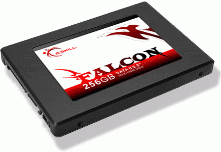 gskill_falcon_256gb_ssd