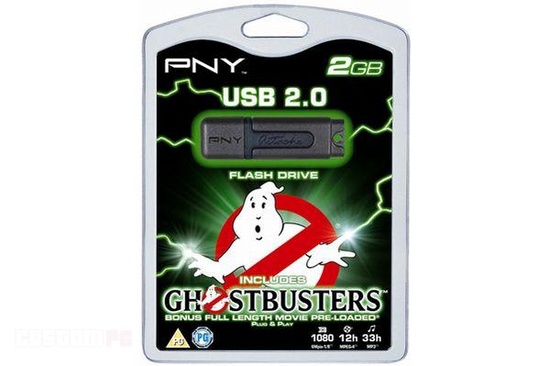 pny_ghostbusters_2gb_550
