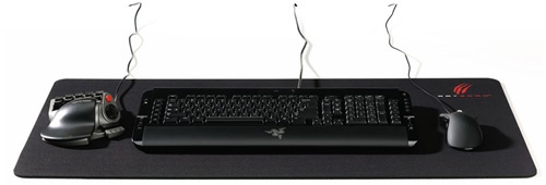ratscarpad2