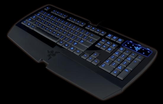 rzr_lycosa_angleview_rgb_550