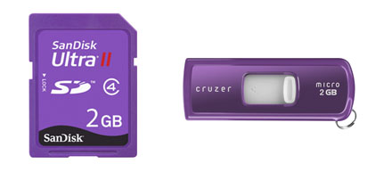 Paarse 2GB SD kaart en USB stick van Sandisk