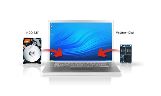 sandisk_vaulter_disk_550