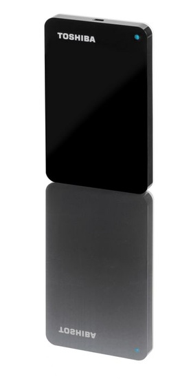 toshiba_storeart01_550