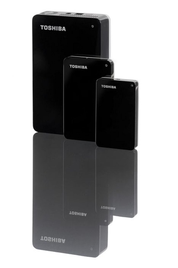 toshiba_storeart02_550