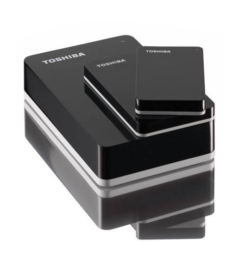 toshiba_storeart04_550
