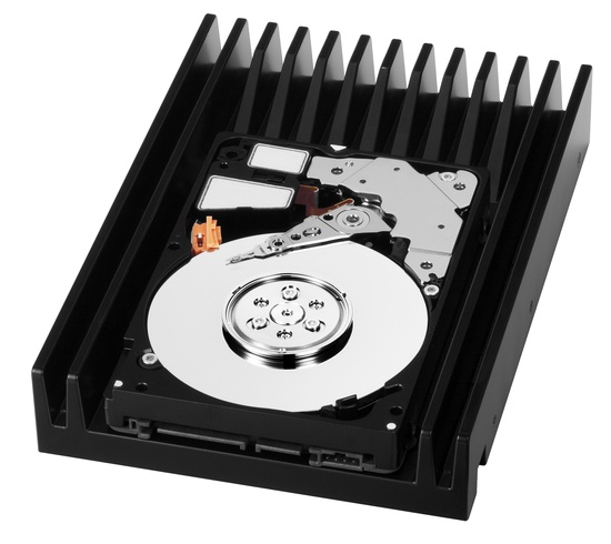 wd_velociraptor_side_hr_550