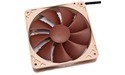 Noctua NF-P12 120mm