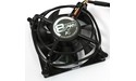 Arctic Fan 8 PWM