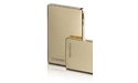 Toshiba Stor.E Steel 320GB Gold