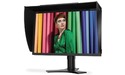 NEC SpectraView 2490