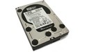 Western Digital Caviar Black 2TB (SATA2, 64MB)