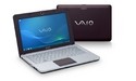 Sony Vaio VPC-W21S1E Brown