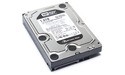 Western Digital Caviar Black 1TB (SATA3, 64MB)