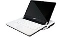 Gigabyte Booktop M1305