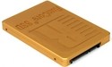 RunCore Kylin II 100GB
