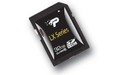 Patriot LX Class 10 SDHC 32GB