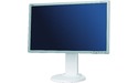 NEC MultiSync E231W Silver