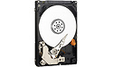 Western Digital AV-25 1TB (SATA3, 16MB)