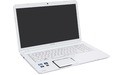 Toshiba Satellite L870-132
