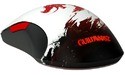 SteelSeries Sensei Guild Wars 2 Edition