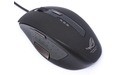 Asus GX800