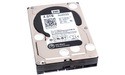 Western Digital Caviar Black 4TB