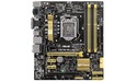 Asus Z87M-Plus (C2)