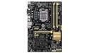 Asus B85-Plus (C2)