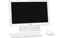 Samsung Ativ One 5 DP505A2G-K01NL