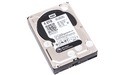 Western Digital Caviar Black V2 4TB