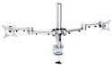 R-Go Tools R-Go Monitor Arm Basic Dual Silver