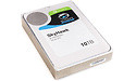 Seagate SkyHawk 10TB
