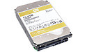 Western Digital Gold 10TB