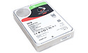 Seagate IronWolf Pro 10TB (ST10000NE0004)