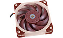 Noctua NF-A12x25 FLX 120mm