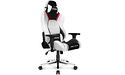 AKRacing Master Premium Artica