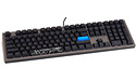 Ducky Shine 7