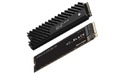 Western Digital WD Black SN750 250GB (M.2)