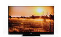 Panasonic TX-55GZW2004