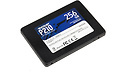 Patriot P210 256GB
